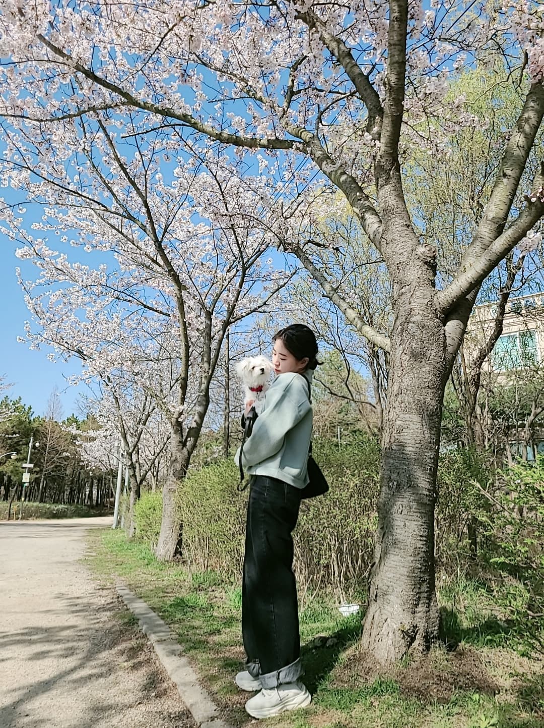 영종도